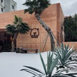 这家店简直是济州岛版的“很久很久以前”❗️