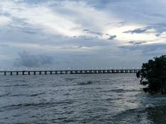 -宝安西湾红树林湿地公园