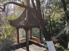 -北极阁公园