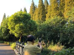 -金岛生态园烧烤露营地