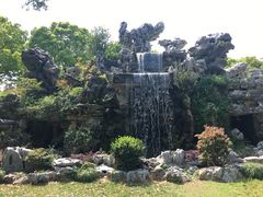 -上海鲜花港