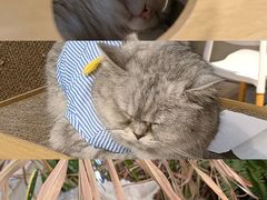 -小时光咖啡馆(北锣鼓巷店)