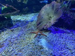-江和美海洋公园