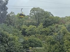 -点都德(广州白云山景区南门店)