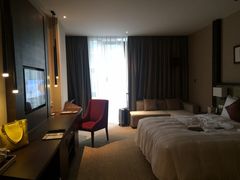-深圳湾科技园丽雅查尔顿酒店