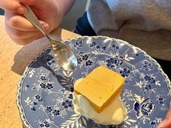 -O'eat Blossom&Pelican(深圳首店)