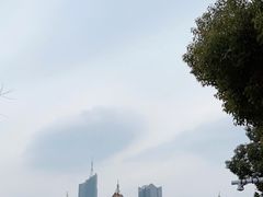 -天鹅湖体育公园