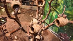 -Zoolung Zoolung动物主题公园(海信广场店)