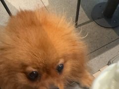 -博特宠物医院24h犬猫全科.骨科·异宠