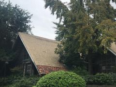 -老房子金沙元年川菜食府·花园餐厅(金沙店)