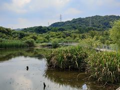 -西湖风景区-江洋畈生态公园