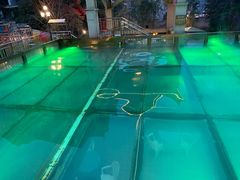-花水湾第一村温泉大酒店