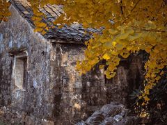 -东山风景区(洞庭东山)
