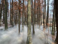 -东湖落雁景区