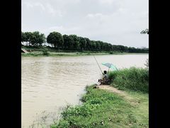 -风云岭森林公园