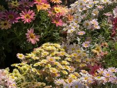 -狼山风景名胜区