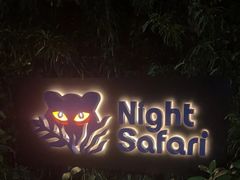 -夜间野生动物园
