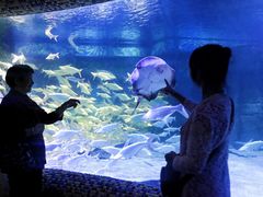 -成都浩海立方海洋公园