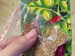 -上海大自然野生昆虫馆