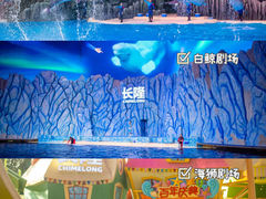 -珠海长隆海洋王国