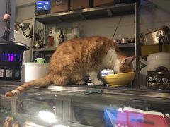 -小时光咖啡馆(北锣鼓巷店)