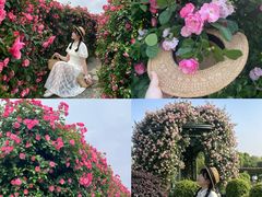 -金银湖国家城市湿地公园