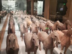 -汉景帝阳陵博物院