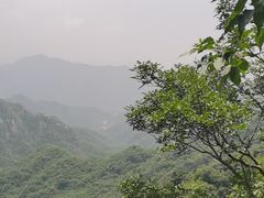 -大岭沟猕猴桃谷风景区