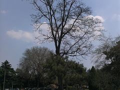-辽宁大学(崇山校区)