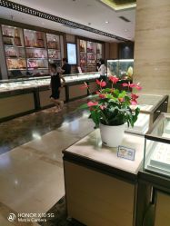 -中国黄金(北京旗舰店)