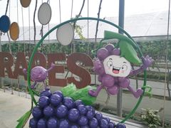 -金谷域澳洲庄园