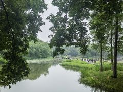 -西溪国家湿地公园