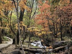 -玉渡山自然风景区