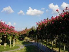 -南通洲际绿博园