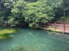 -句容茅山景区