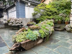 -寂照庵