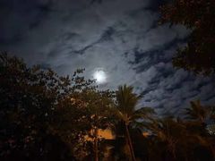 -三亚湾海居铂尔曼度假酒店