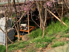 -玫瑰庄园·自助烧烤·烤全羊·团建拓展(龙泉山店)