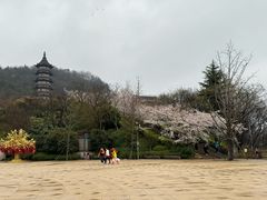 -牛首山文化旅游区