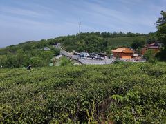 -浮槎山