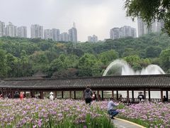 -龙头寺公园