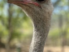 -青藏高原野生动物园