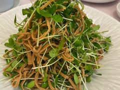 香椿苗拌豆腐丝-喜鼎海胆水饺(平安金融中心店)