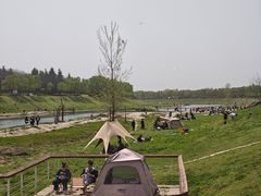 -洨河生态公园