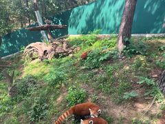 -大连森林动物园