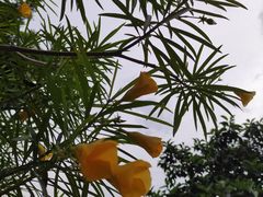 -NY STEAK 牛一扒房(番禺区南城路店)