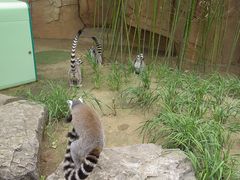 -北京野生动物园