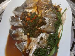 -苏大嘴蒸汽海鲜·海胆蒸饺(中山广场店)