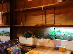 -望京一号·重庆江湖菜(工体店)