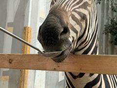 -水上乐园·欢乐世界